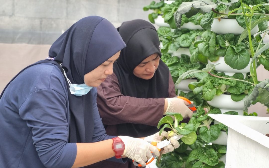 From Urban Farm to Food Security